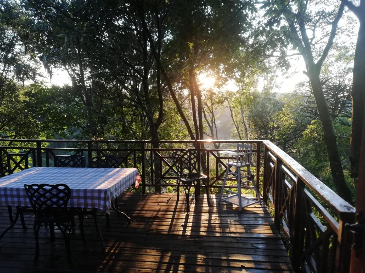 Cabbage Tree Cottage Hilton Buitenkant foto