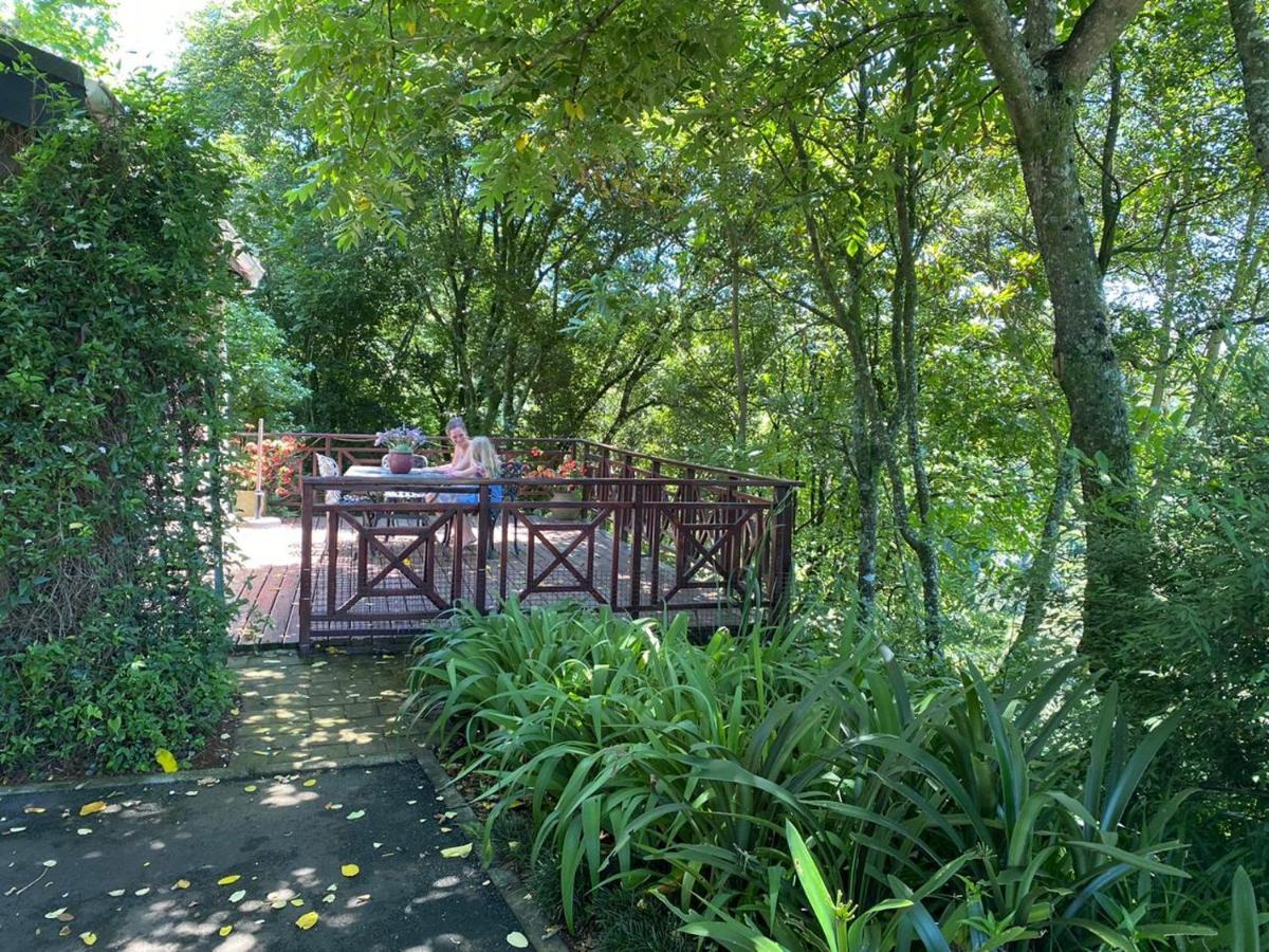 Cabbage Tree Cottage Hilton Buitenkant foto