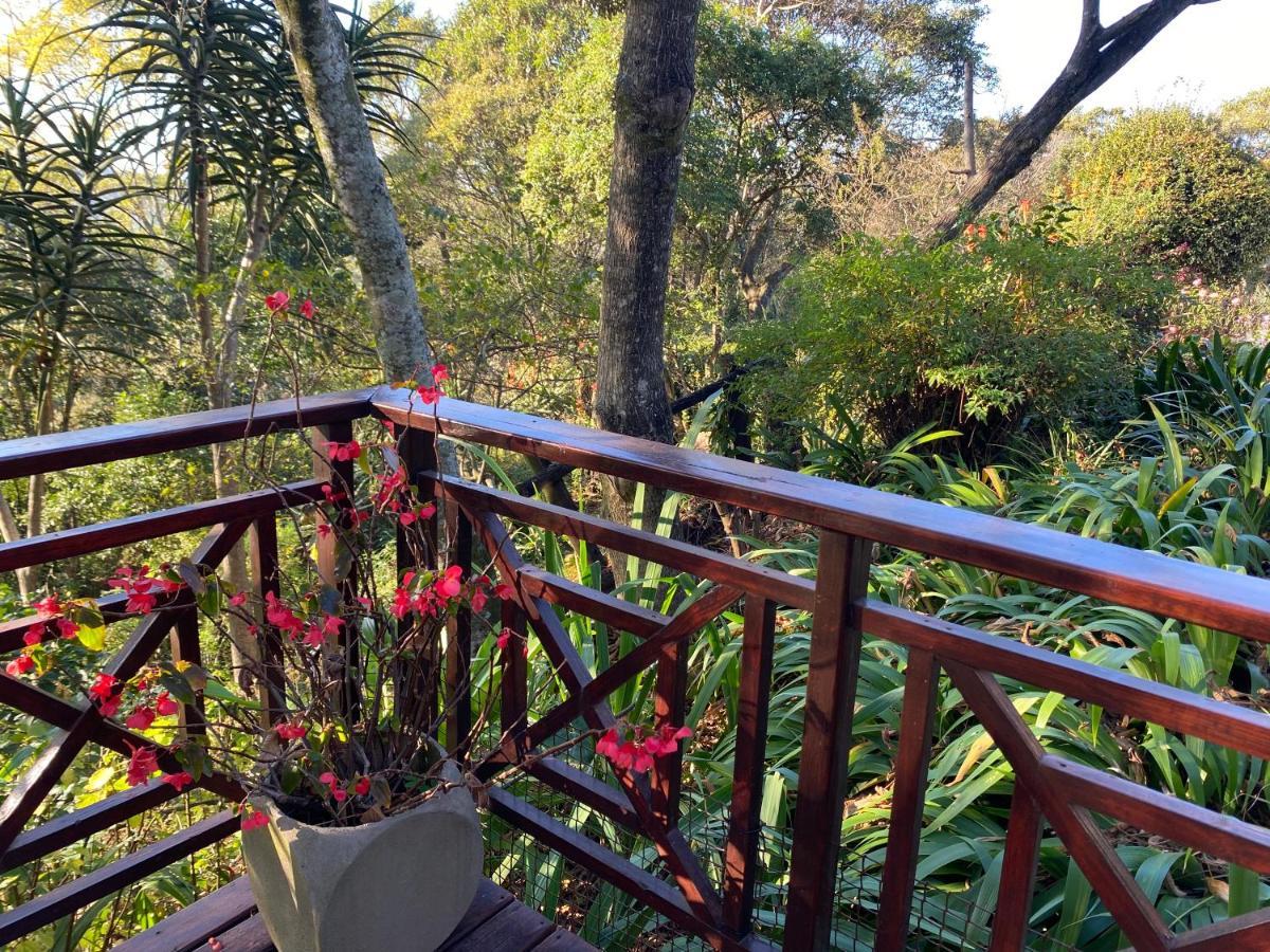 Cabbage Tree Cottage Hilton Buitenkant foto